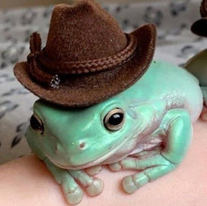 Meet your Posher, Angel